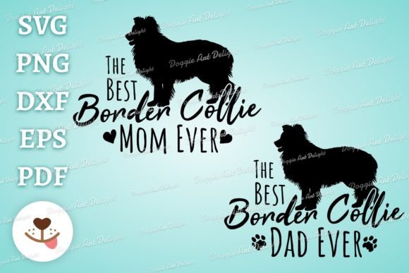 Best Border Collie Dog Mom Dad: Designer Review