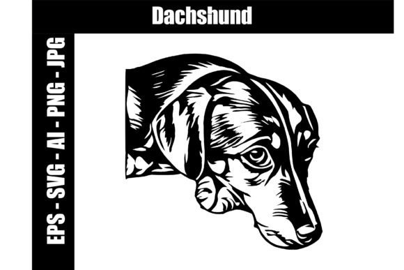 Dachshund SVG EPS PNG JPG AI – Design Review for Embroidery