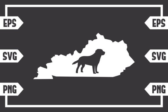 Kentucky - Dog: A Designer's Honest Review