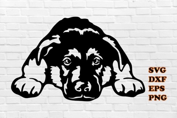 Peeking Dog: A Designer's Honest Take for Embroidery and Craft Projects